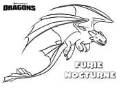 coloriage dragons furie nocturne le gentil